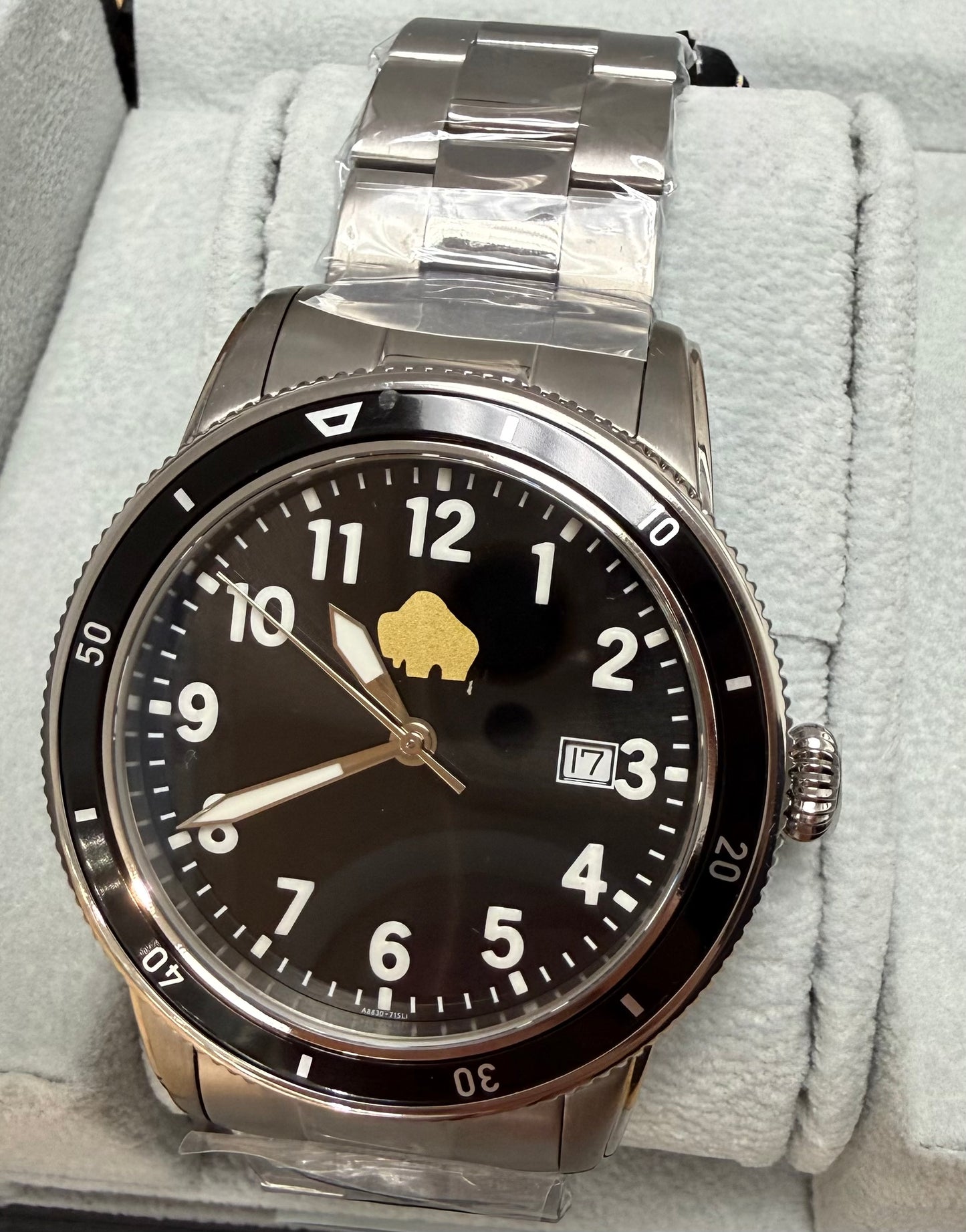 Men’s Titanium Case