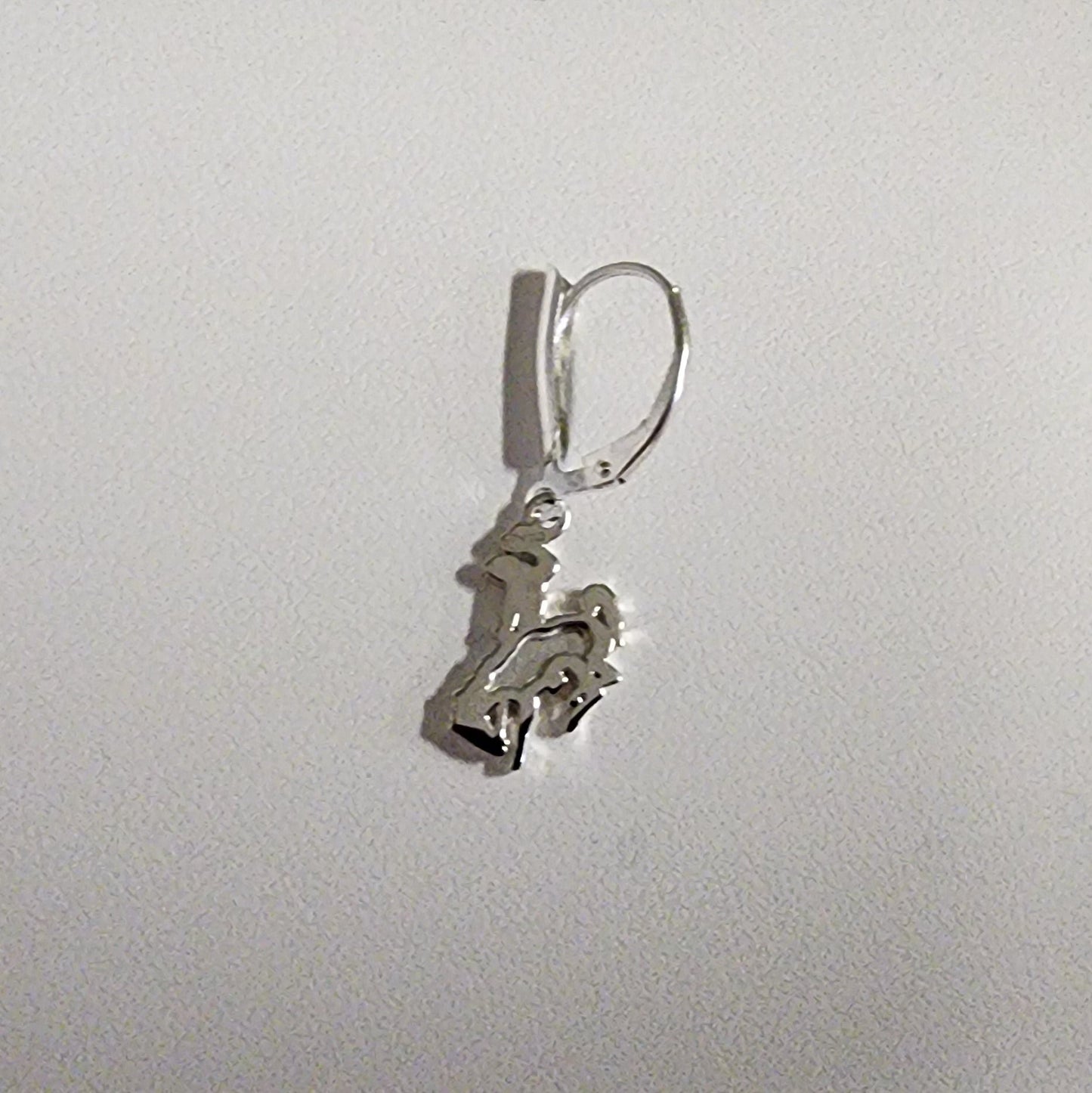 Cowboy Small Flat Design Earrings